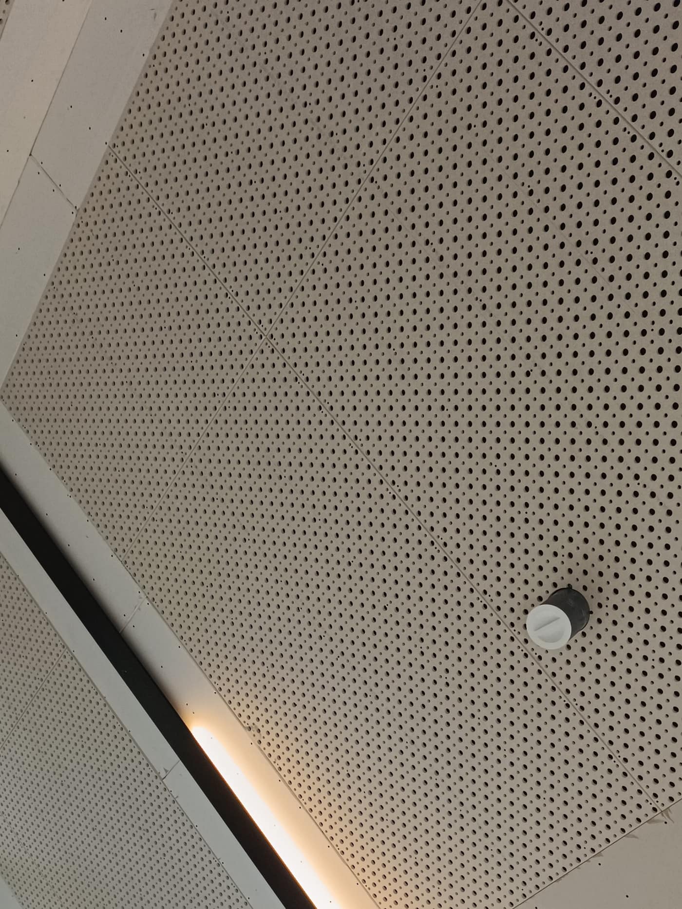 Akustikdecke im Wohnhaus – Akustikbau